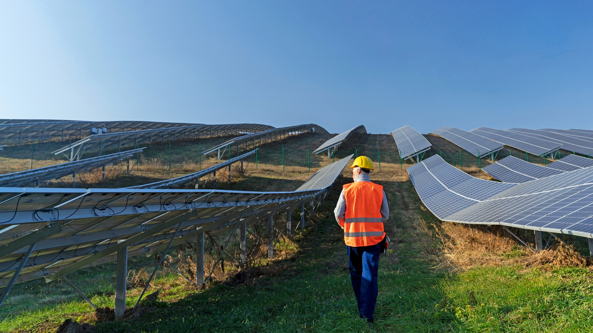 person-near-alternative-energy-plant